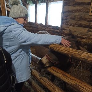 619140317_1368531775073099_3403044184455671543_n